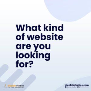 What-kind-of-website-do-you-need-1