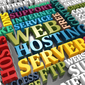 web hosting provider