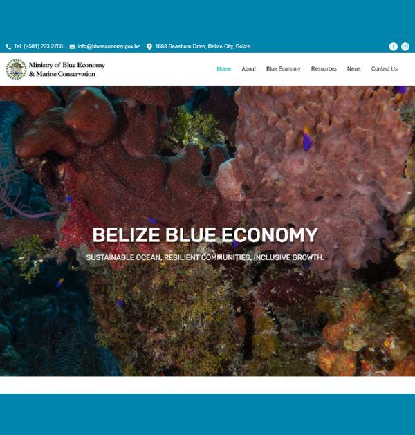 blue eco (1)